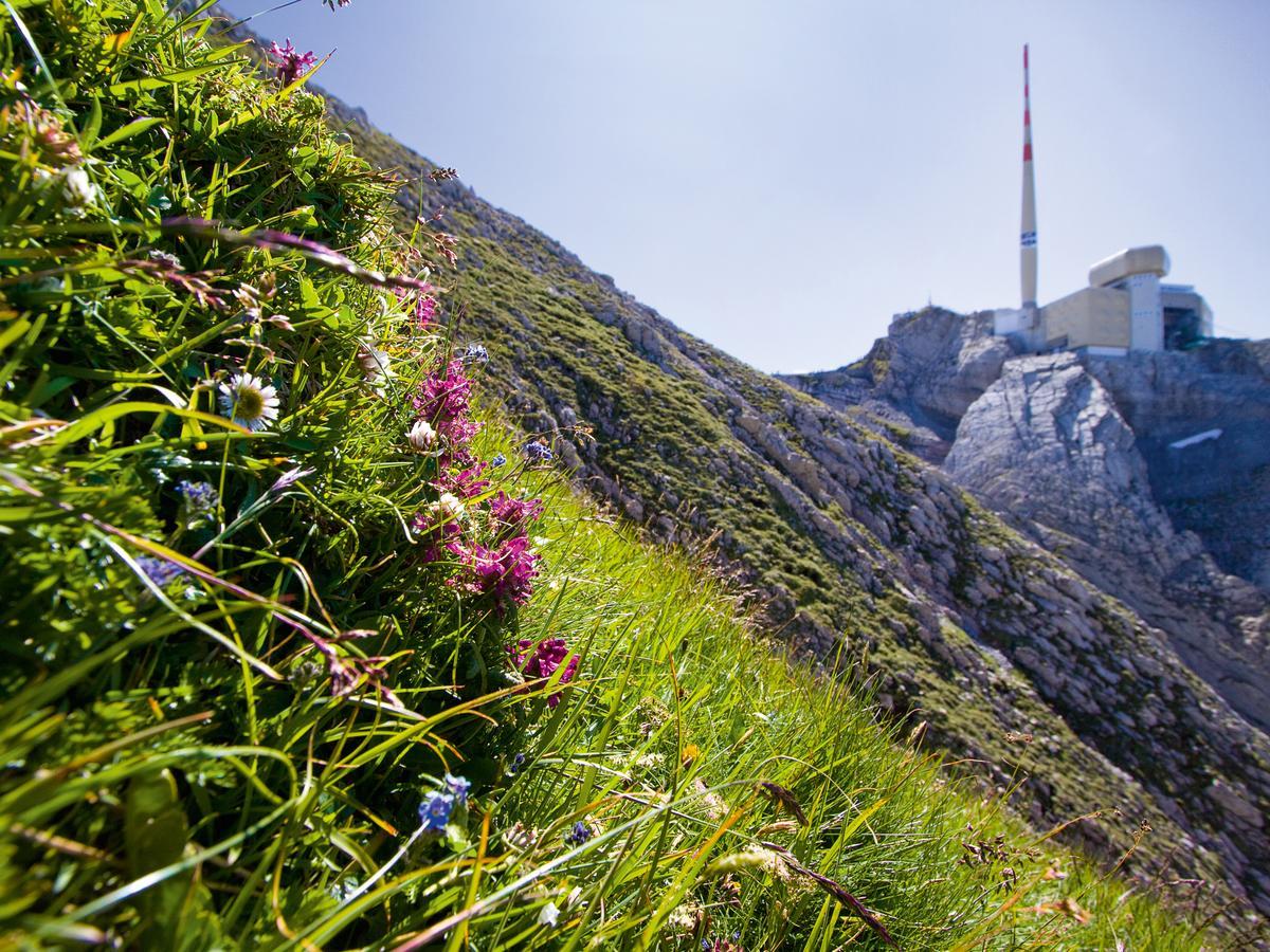 Saentis - Das Hotel Schwägalp-hágó Kültér fotó