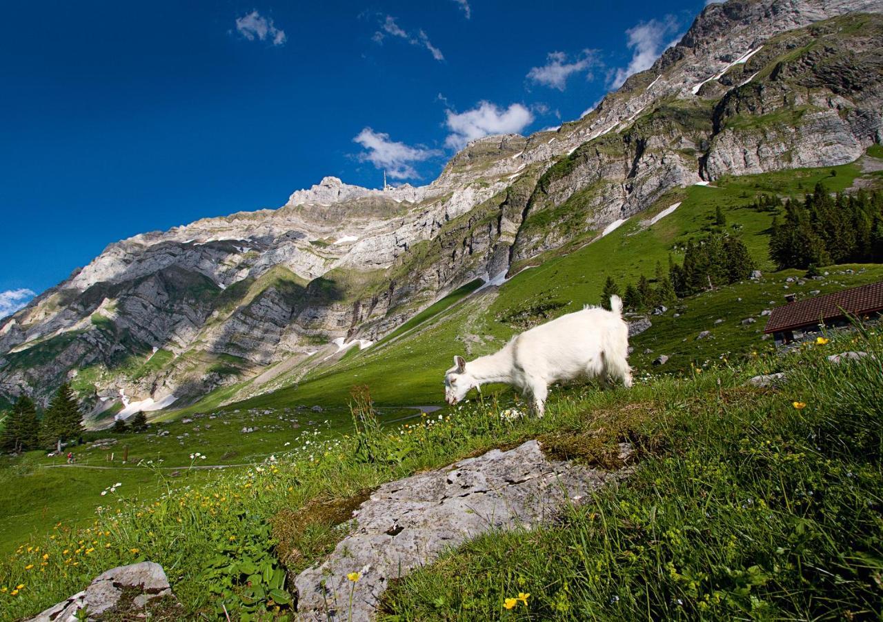 Saentis - Das Hotel Schwägalp-hágó Kültér fotó